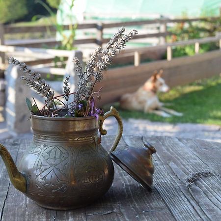 Agriturismo Athabaska ซาน ลอเรนโซ อิน บานาเล ภายนอก รูปภาพ
