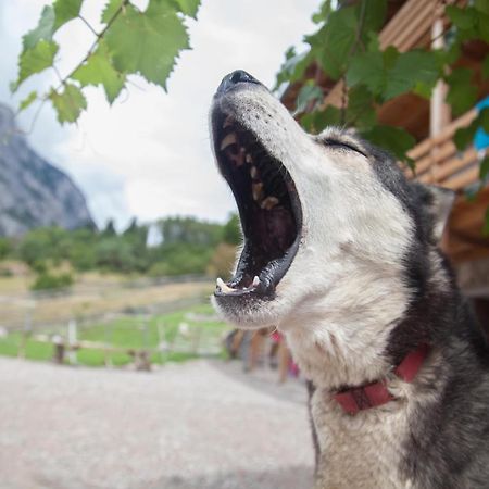 Agriturismo Athabaska ซาน ลอเรนโซ อิน บานาเล ภายนอก รูปภาพ