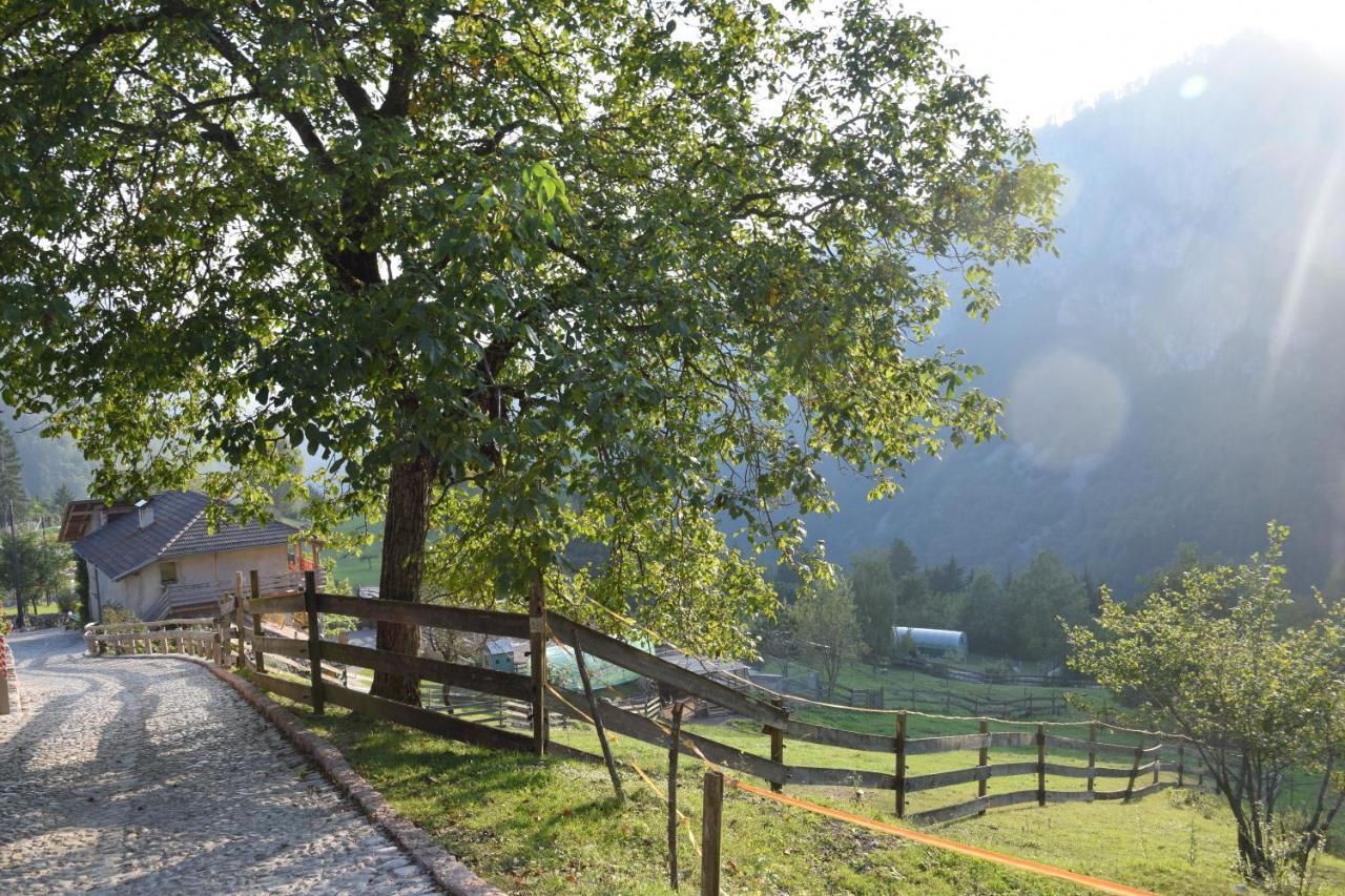 Agriturismo Athabaska ซาน ลอเรนโซ อิน บานาเล ภายนอก รูปภาพ